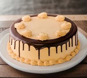 Chocolate Eggless cake  Opium Cake