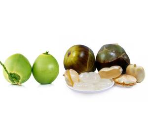 Tender Coconut Nungu(750 M1)