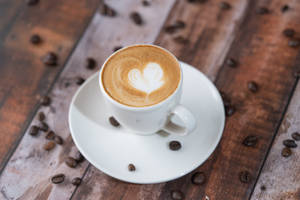 Vegan Cortado [90gms]