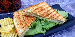 Cheese chicken paneer griiled sandwich