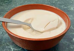 Plain Dahi