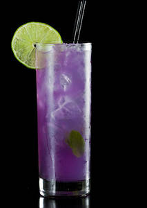 Blueberry Mojito