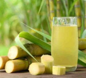 Nutripress Sugarcane - Cold Pressed Juice