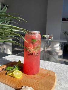 Watermelon Mint Mojito