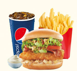 Chicken Kabab Burger Combo