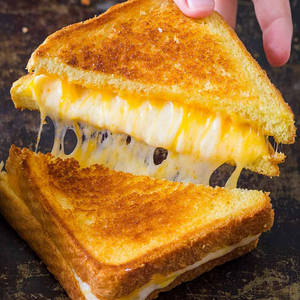 Grlid Cheese Sandwich