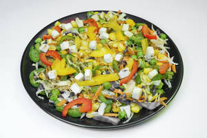 Veg Sauted With Paneer Salad
