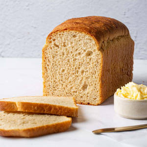 Bread Wheat