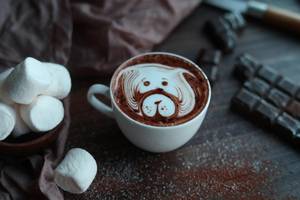 Chocolate Cold Coffee [200 ml]