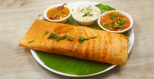 Mayo mysore masala dosa