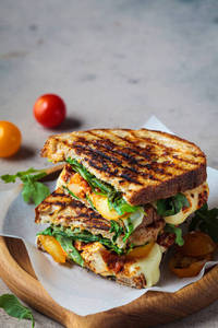 Veg Grilled Sandwich