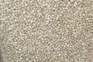 Quinova Seeds