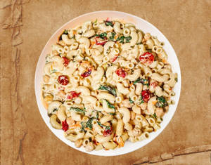 Macaroni Alfredo Pasta