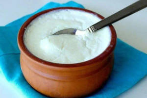 Plain Dahi