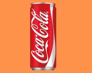 Coca-cola (300ml Can)
