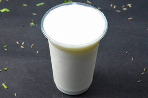 Plain Dahi