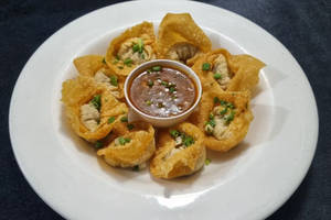 Crispy Veg Wontons