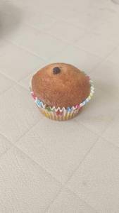 Eggless Blueberry Muffin