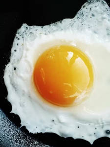 Egg Half Fry Omlette (double)