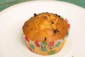 Chocolate Chip Muffin