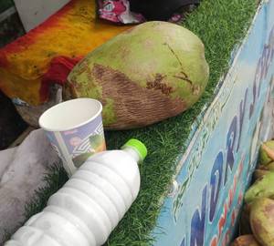 Coconut juice [500 ml]