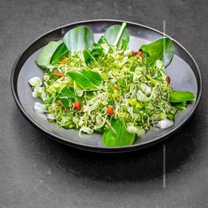 Sprout Salad