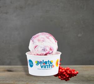 Wildberry Yoghurt Gelato
