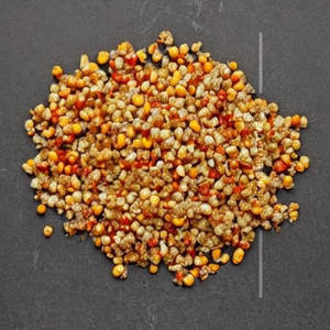 American Corn Pepper Salt