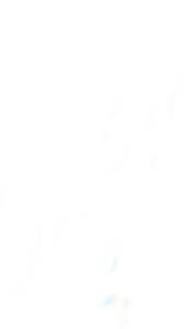 Chocolate Delight Pastry 