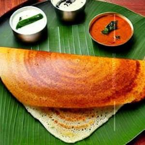 Cheese Sada Dosa