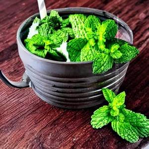 Mint lime