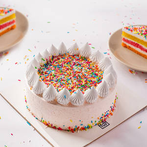 Rainbow Paradise Cake