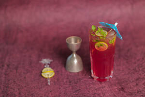 Watermelon Mojito