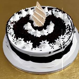 Black & White Forest