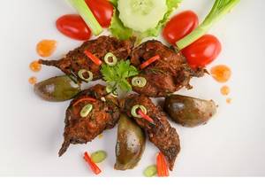 Fish Pudina Tikka