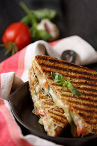 Veg Cheese Sandwich Plain