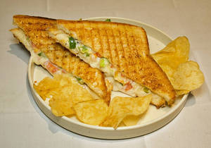 Veg Grill Sandwich