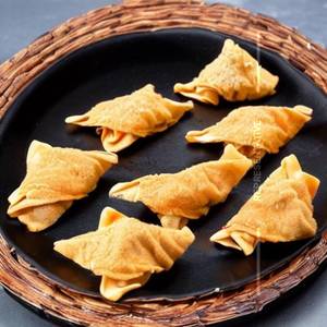 Chicken Fried Wonton