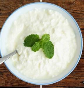 Plain Dahi