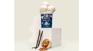 Bourbon Vanilla (Stevia Sweetened) Vegan & Sugar Free Ice Cream