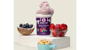 Bliss of Berries (Stevia Sweetened) Vegan & Sugar Free Ice Cream