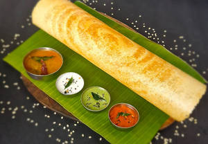Plain Dosa