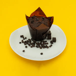 Chocolate Muffin