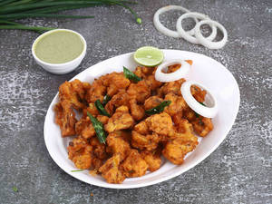 Gobi 65 Large