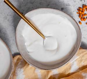 Plain Dahi