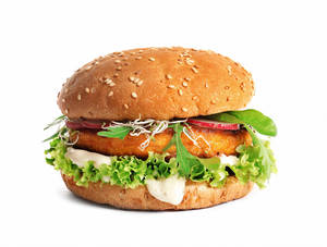 Cripsy Veg Burger