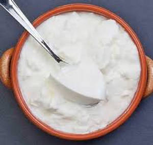 Plain Dahi