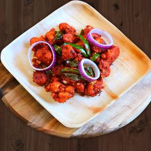 Gobi 65
