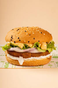 Veggie Snacker Burger