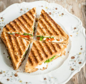Veg Grill Sandwich